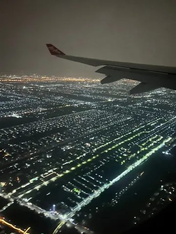 夜景に溶け込む翼