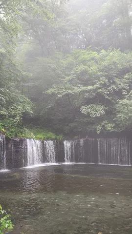 霧の滝と森の囁き