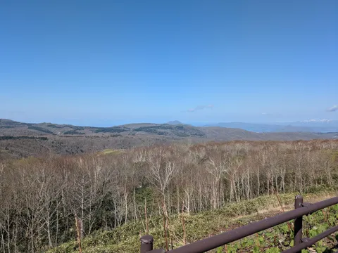 新緑前の山の景色