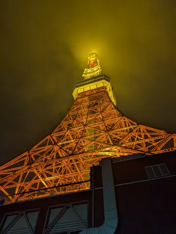 タワーを独り占め！夜空の主役