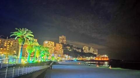 渚を照らす幻想の輝き