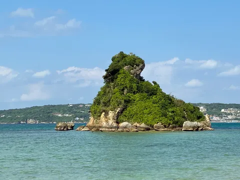 この島、一人旅？