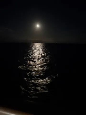 月光が描く夜の海路