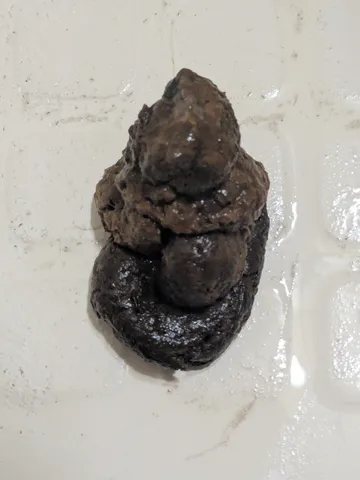 積み重ねた日常の記録