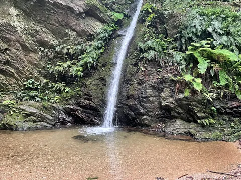 緑に包まれた癒しの滝壺