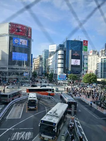 都市の鼓動、バスが行き交う交差点