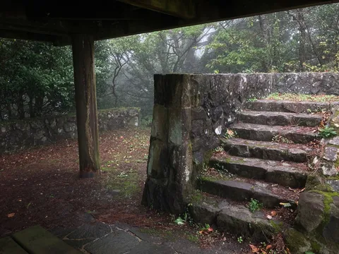 霧に包まれた石段と静寂
