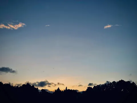 木々のシルエットと空のグラデーション