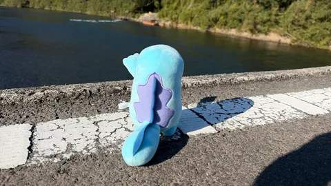川辺の青いぬいぐるみの旅
