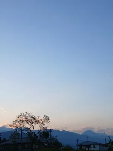 夕暮れに佇む木と山々
