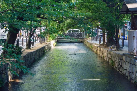 静寂を流れる清流と緑陰
