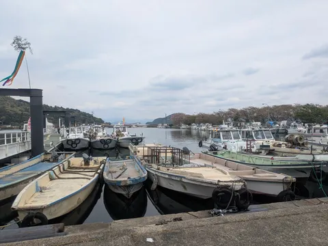 港に停まる、静かな船団