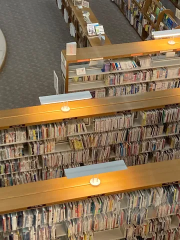 知の迷宮、図書館の風景