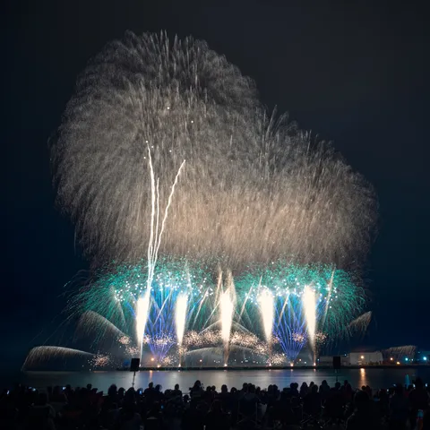 夜空に咲く光の花火