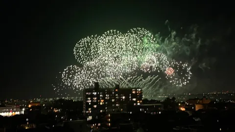 夜空を彩る、都会の花火