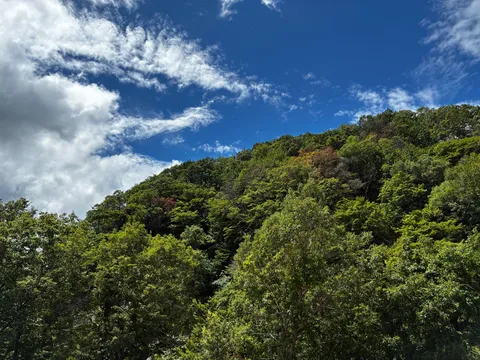 山と空の静かな瞬き