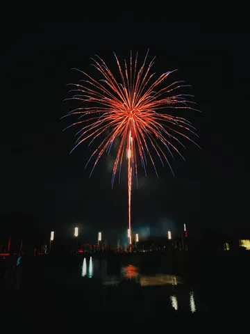 夜空を彩る、生命力あふれる花火