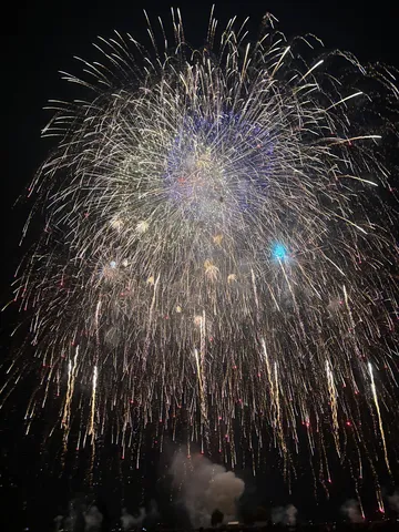 夜空に咲く、一瞬の煌めき