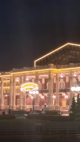 夢の国の夜空を彩る光