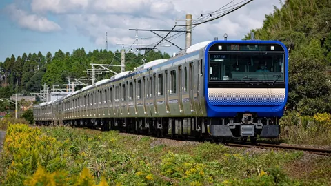 里山を彩る爽やかな列車