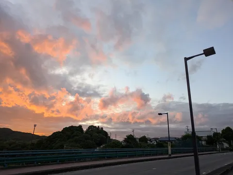 茜色の雲と街灯のコントラスト