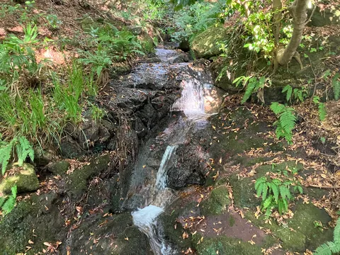 岩と木漏れ日の小さな滝