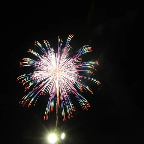 夜空に咲く虹色の花火