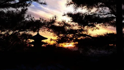 夕暮れに浮かぶ古刹と松