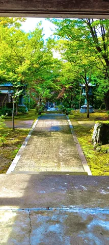 緑に包まれる石畳の道