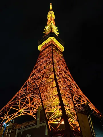 闇夜を彩る光の骨格