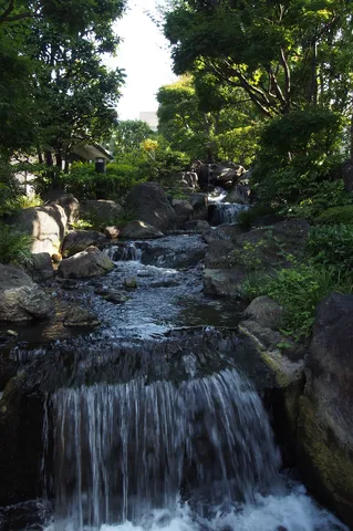 静寂の渓流、緑陰に癒される