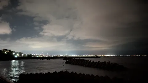 夜の港と灯る波音
