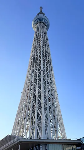 青空と格子の塔影