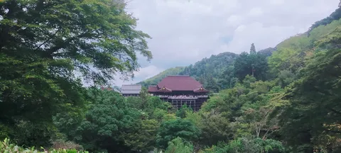 木漏れ日と古刹の神秘