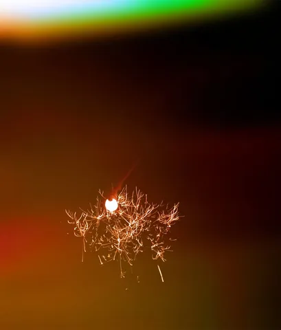 夜空を彩る線香花火の軌跡
