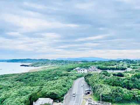 潮風を感じる緑の道