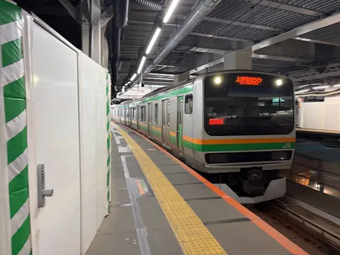 都会を駆ける緑の疾風