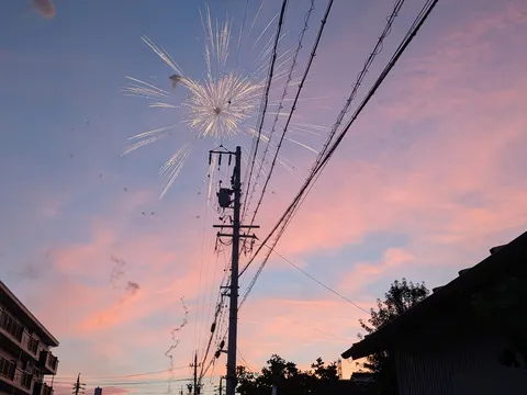 街灯と空を彩る花火