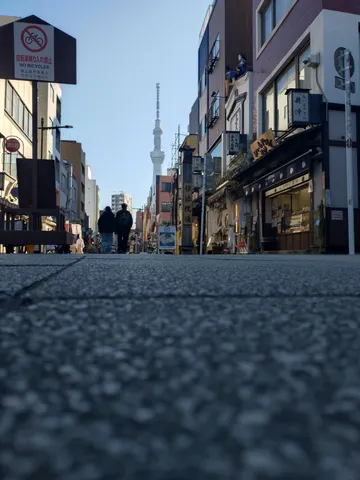 東京スカイツリーを望む石畳の道