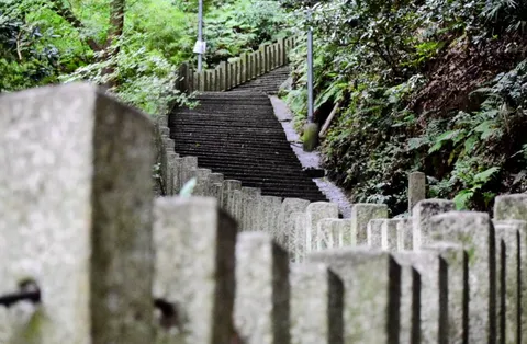 緑の森へ続く石段