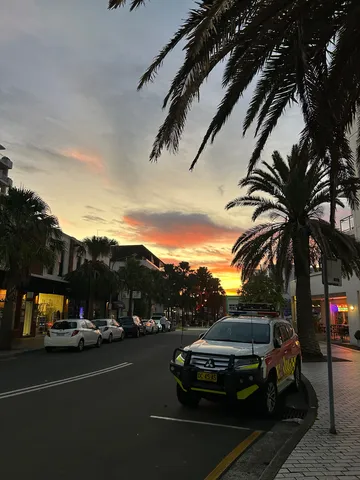 夕暮れ時のパトロールカー、ヤシの木と空のコントラスト