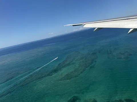 翼の先に広がる青い水平線