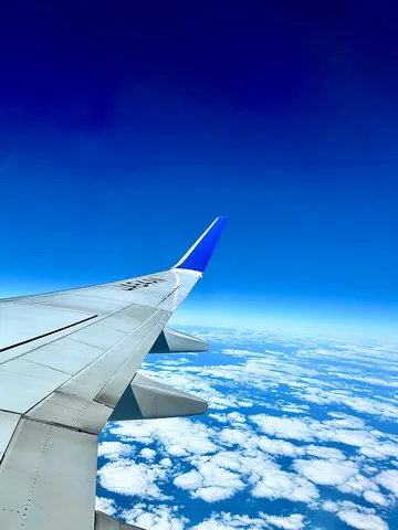 雲海を駆ける翼