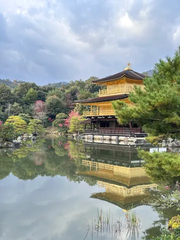 黄金の殿堂、水鏡に映る静寂