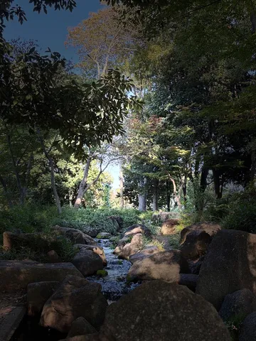 静かな流れと石の呼吸