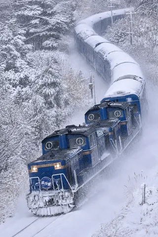 モコモコ雪化粧トレイン