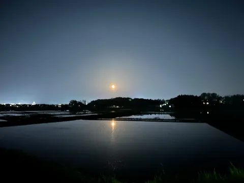 月明かりの水田、幻想的な夜景