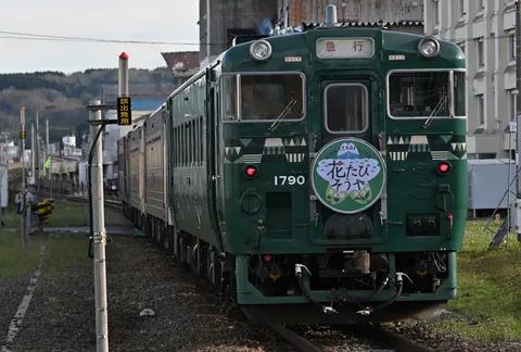 深緑の急行列車、花たびそうや