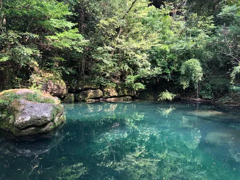 森の奥の秘密の泉