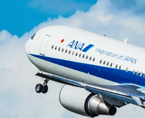 空へ飛び立つANA機